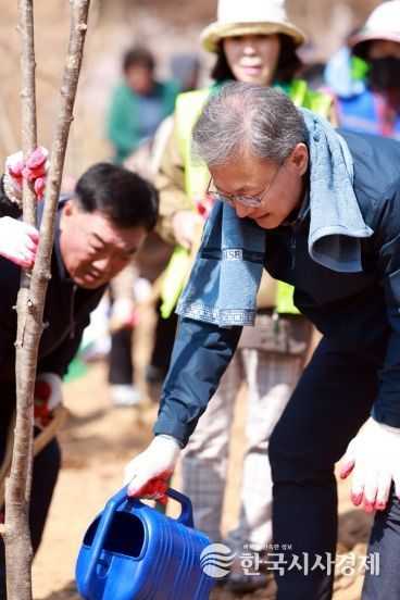 장인홍 구로구청장이 나무를 심고 물을 주고 있다.