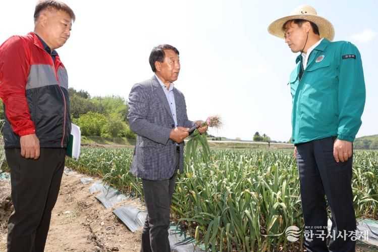 진안군, 노동력 절감 위한 마늘 스마트기계화 시범사업 추진 (전춘성 진안군수가 마늘농가-가운데-로부터 재배 설명을 듣고 있다)