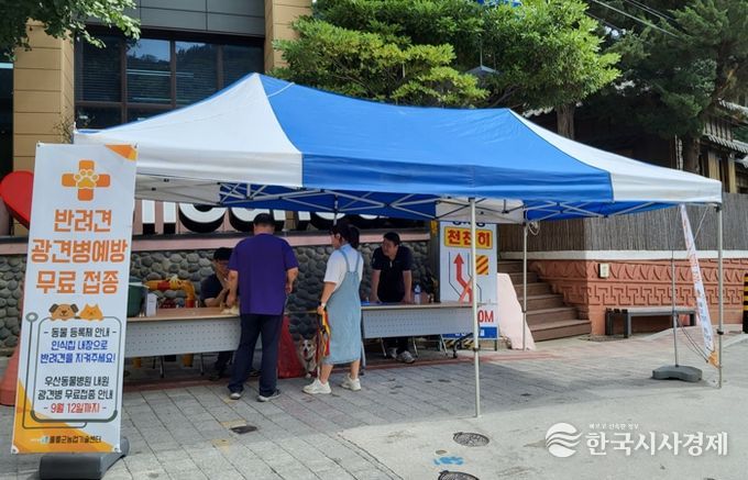 울릉군, 동물보호 홍보 캠페인 및 반려견 광견병 무료접종 실시