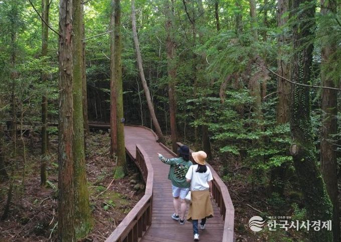 서귀포치유의숲