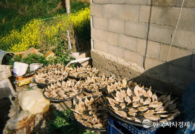 K-관광섬주민사진전익산역개최(최은경 주민 둥근것).