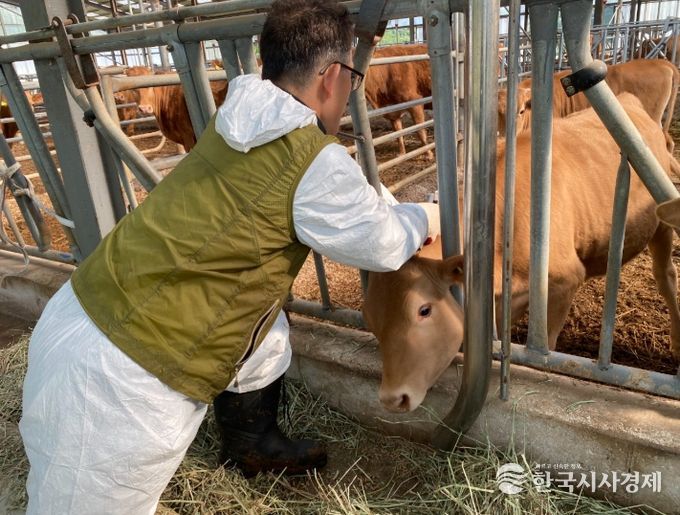 , ‘2025년 하반기 구제역 백신 일제접종 실시’