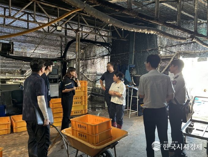 포항시, 양식장 전기설비 안전점검