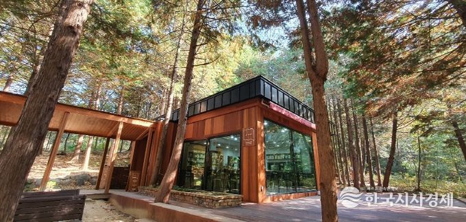 숲속도서관에서 즐기는 자연 속 힐링!