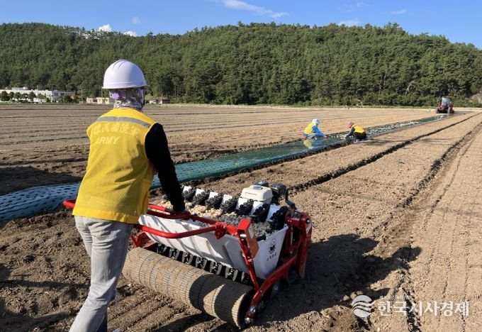 고흥군, ‘건전한 씨마늘을 10월에 심으세요’