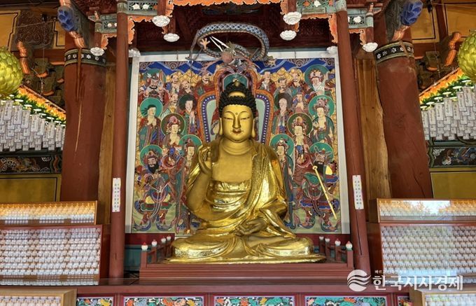 세종시 '비암사 소조아미타여래좌상' 국가보물 지정예고