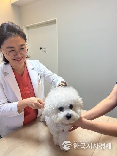 대구시, 가을철 광견병 예방접종 실시… 16일부터 2주간