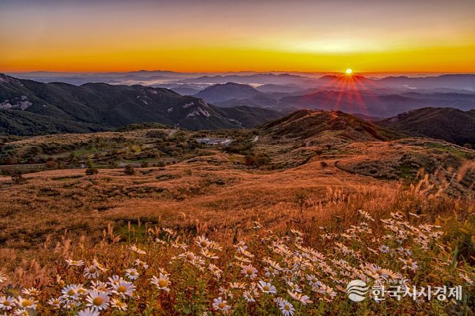 붉은 노을 억새풍경