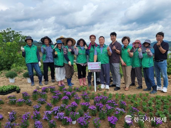 새마을운동 합천군지회, 꽃향기 가득한 우리마을 꽃밭 가꾸기 사업