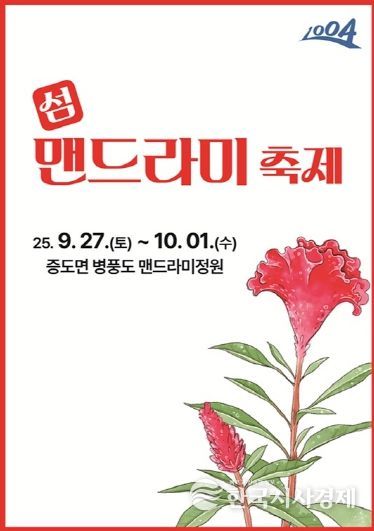 신안군, ‘변치 않는 사랑의 꽃밭’ 2025 섬 맨드라미 축제 개최!