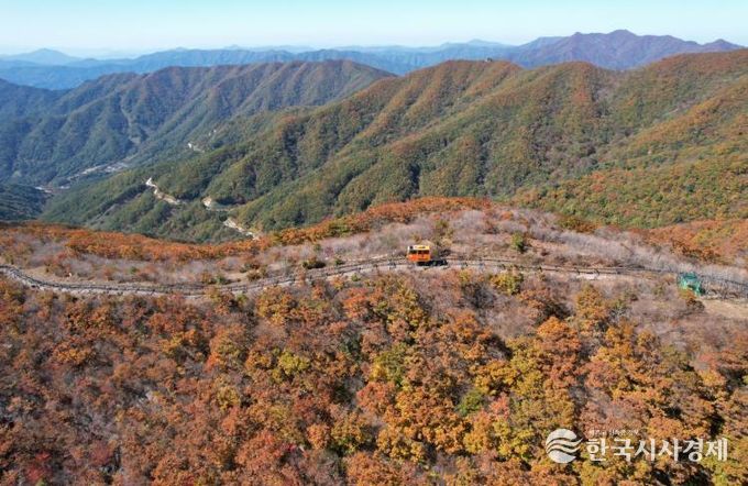 대봉산휴양밸리 가을