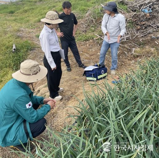 정읍시, 마늘 적기 파종 당부…조기·지연 파종 피해 예방 강조