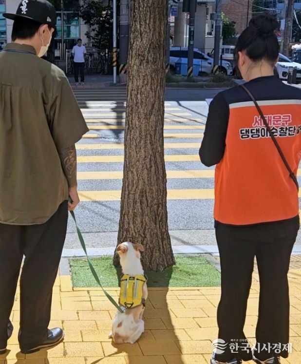 서대문구 제2기 댕댕이 순찰단 선발 심사 모습
