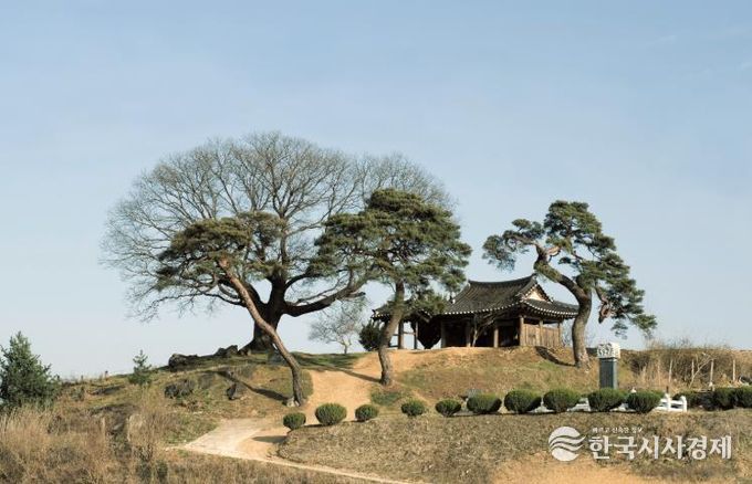 동래정씨 12세조 삼수공 포내(浦內)입향 600주년 기념행사 개최 - 삼수정 전경