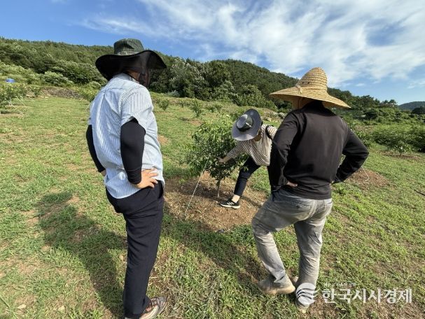 고흥군, 가을철 유자 재배관리 기술지도 강화