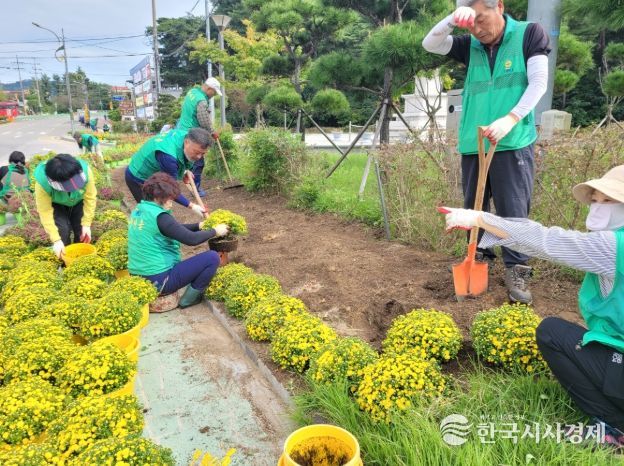 새마을운동 합천군지회, 아름다운 합천가꾸기 가을꽃 식재 실시