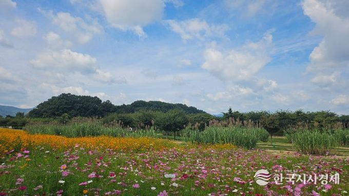 가을창포원 전경