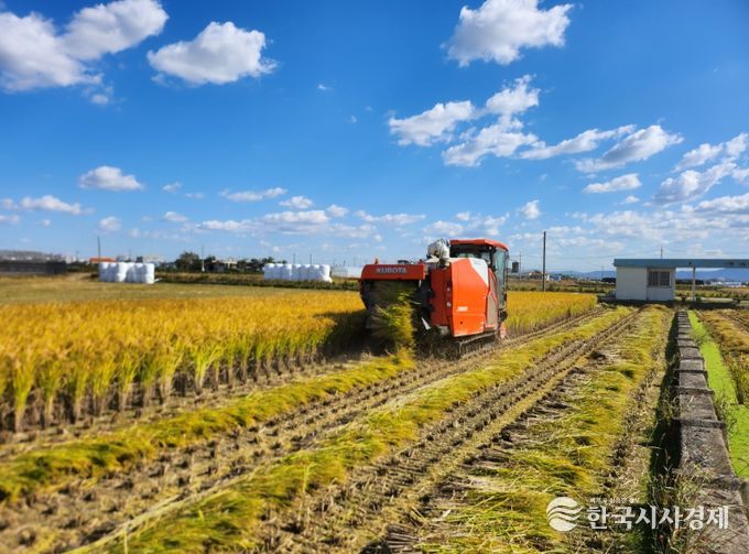 1. 천안시 성환읍 수도작 농가가 벼 수확을 하고 있다.