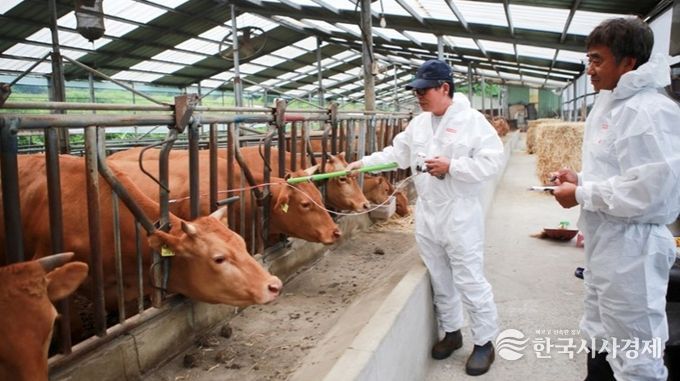 가축 응급진료 당번제 운영