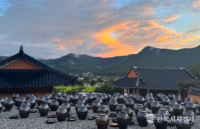 고창군, 청년과 지역이 함께 만드는 ‘논:답 프리미엄 체험’ 운영