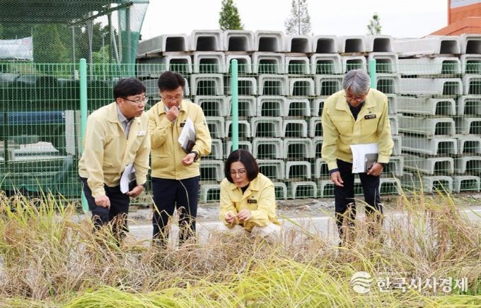 안성시, 10월 연속 강우에 따른 농작물 피해경감 긴급 대책회의 실시