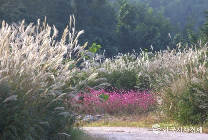 인덕산 자연마당 풍경 사진.