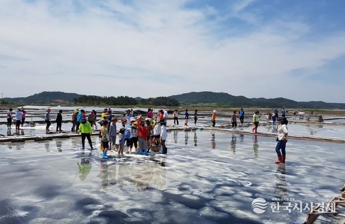 신안군, 제2회 보물섬 함초축제 개최