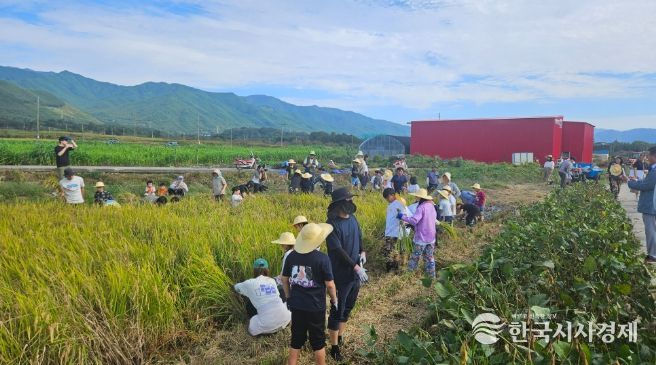, 광의초 학생 대상 벼 수확의 기쁨 기회 제공
