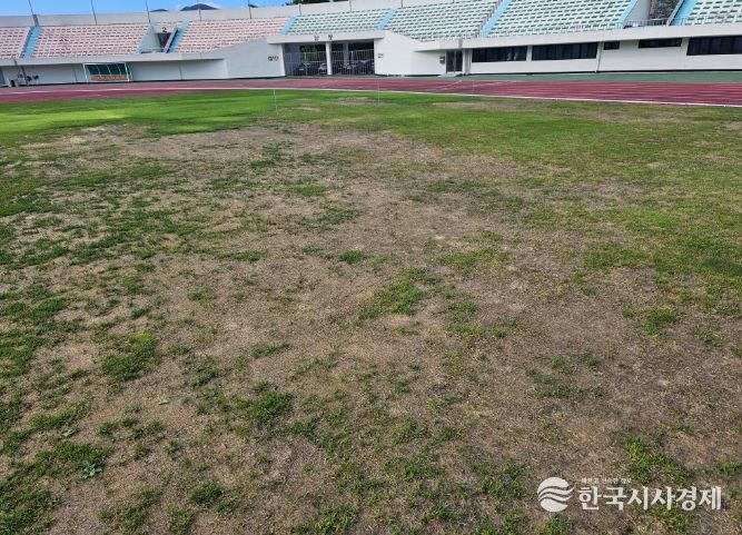 오버시딩 전 밀양시종합운동장 축구장 잔디 전경