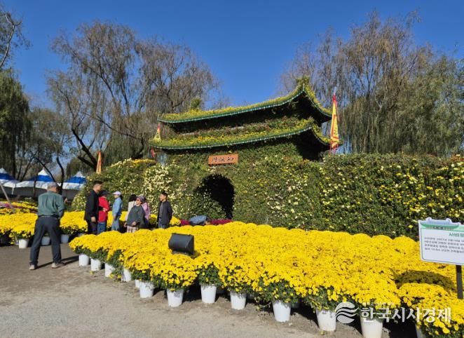 제21회 백제고도부여국화축제