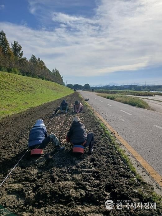 파주시 금촌2동, 2026년 공릉천 튤립축제 준비 본격 착수