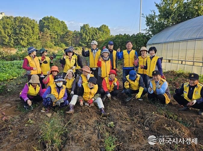 파주시 금촌2동 실버경찰대, 직접 재배한 고구마로 나눔 실천