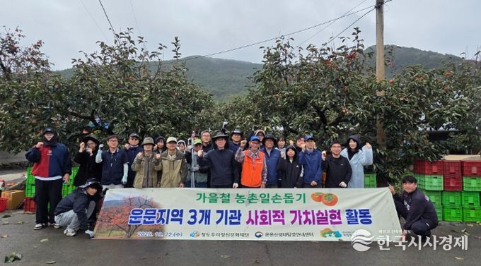 청도반시 수확으로 ‘사회적 가치 실현’ 앞장