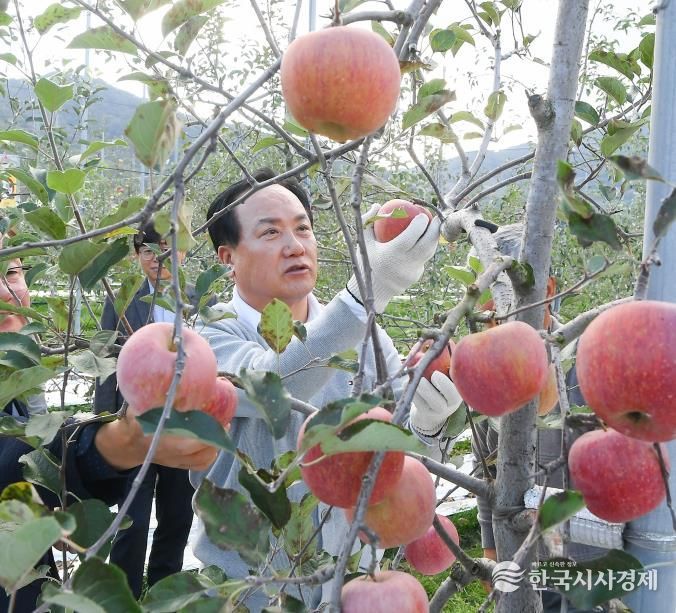 오산시, 자매도시 장수군서 ‘오산시민 장수 사과따기 체험행사’ 성황리 개최