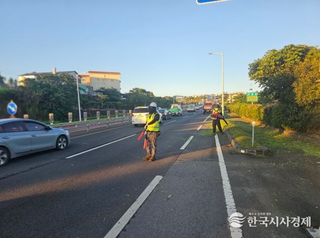 2025년 주요 도로 예초작업 등 환경정비 마무리(평화로)