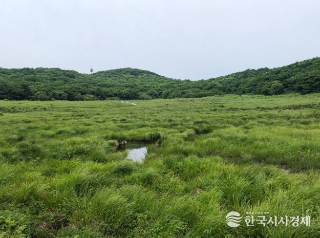 (북부지방산림청) 강원 인제 대암산 용늪 산림유전자원보호구역