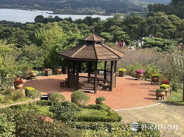 봉수산수목원 내 국화꽃 만개 모습