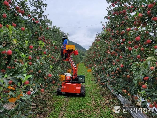 포천시, ‘2025년 포천사과 품평회 및 판매행사’ 개최