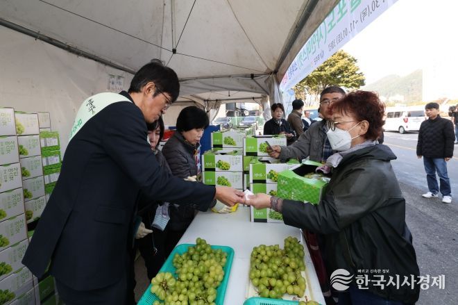 무주 반딧불 샤인머스켓 판촉행사