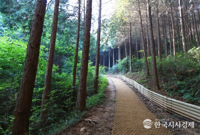 고흥군, 2025년 SRT 어워드 ‘국내 최고의 여행지’ 2년 연속 대상 수상