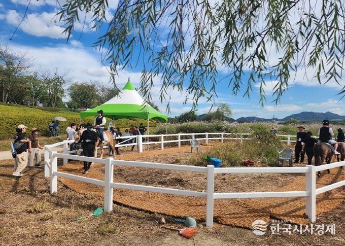 도심 속 힐링, 순천만국가정원에서 무료 승마체험 실시