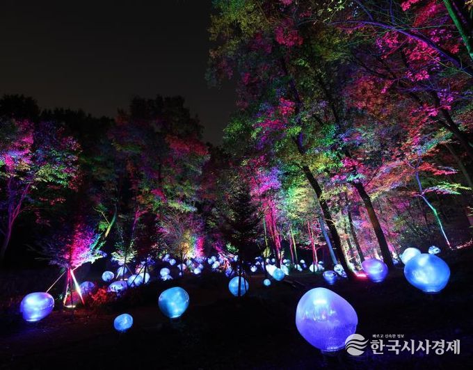 형형색색의 복사꽃 씨앗이 빛나는 도화씨 구간 전경