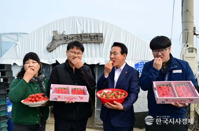 딸기 품종 혁신, ‘조이베리’로 문 열다