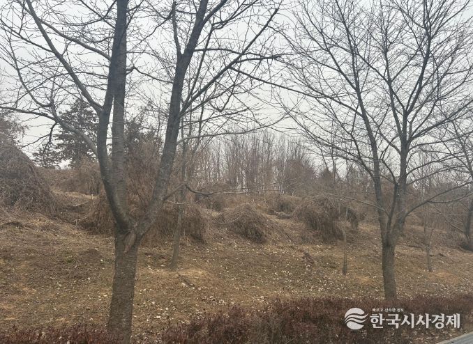 이천시, 2026년 도시숲리모델링사업 선정