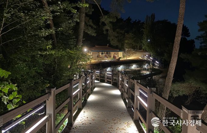 호가정 산책로 야경 사진