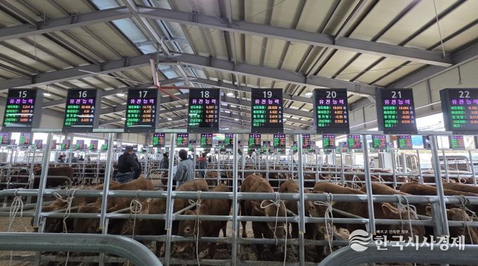 음성축협, 스마트 가축시장 플랫폼 구축 완료