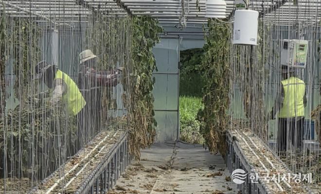 보은군, 라오스 계절근로자 파견 종료… 1582농가에 ‘든든한 힘’