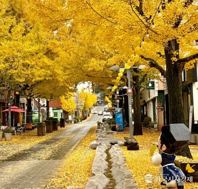 가을감성 가득한 ‘은행나무아래로’ 축제 개막