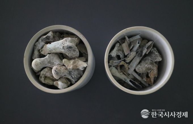 2005년 3월 경상북도 포항시 북구 흥해읍 도음산 정상에서 발굴한 국군 제8사단 10연대 소속의 고(故) 양이한 일병의 유해