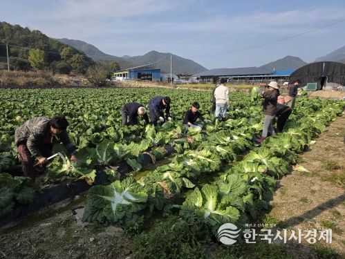 금산군청 건설교통과 직원들 농촌일손돕기 모습